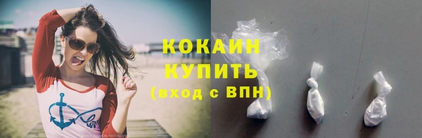 прущие грибы Белоозёрский